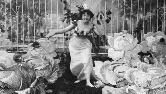Кадр из фильма "Капустная фея" (1900)