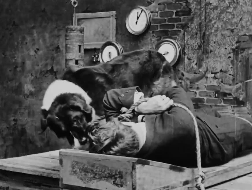 Кадр из фильма "Собака детектива"